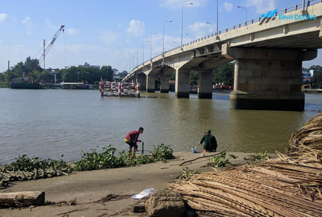 Câu cá tại Cầu Phú Cường 